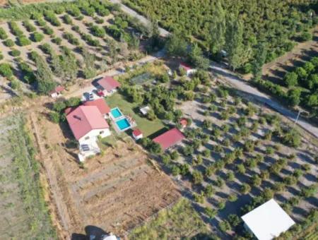 Farmhouse Located On 40 Decares Of Land In Tepearası Locality