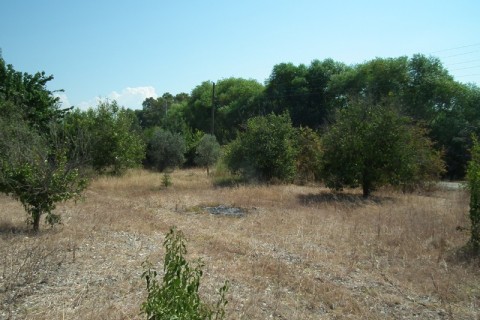 Dalyan Okçularda 1000m2 satılık arsa (OKA12)