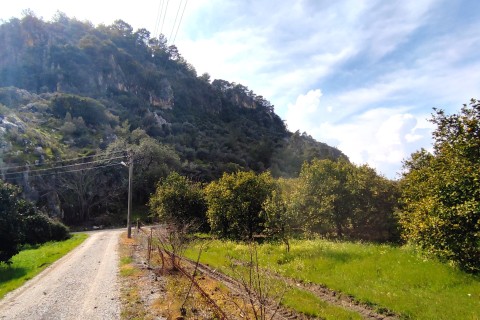 Dalyan Okçularda 532 m2 müstakil tapulu fırsat arazi (OKA03)