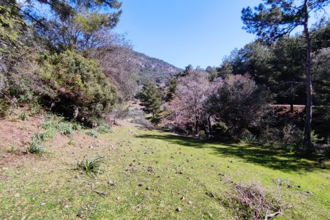 Dalyan Gökbelde satılık tarla 664m2 plaja kısa mesafede (GBA20)