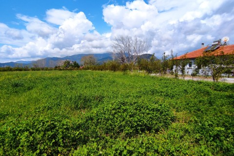 Dalyanda Satılık Tarla 7324 M2 Harika Konumda (da44)