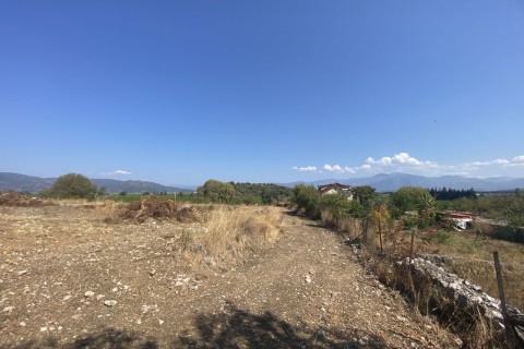 DALYANDA SATILIK TARLA (göl manzaralı) DA42