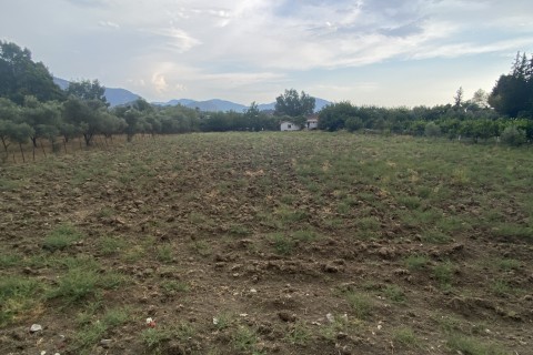 DALYANDA KANAL KARŞISINDA SATILIK TARLA (CA10)