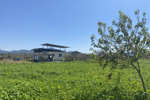 Dalyan Mahallesi,Eskiköy Mevkinde Satılık Müstakil Köyevi(EKK02)